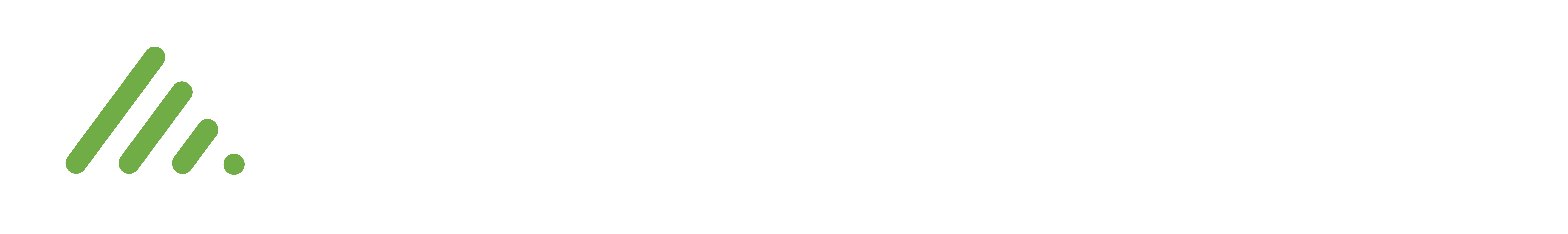Logo-Agidrive-WHITE